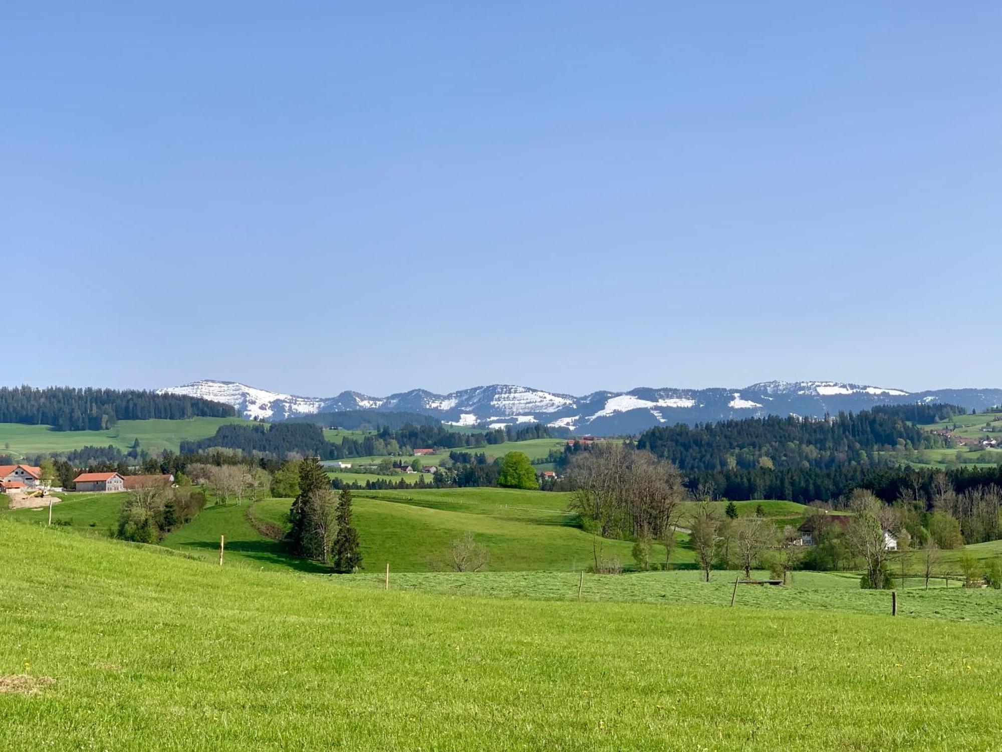 Lindners Hideaways - Bergnest Lodge - Bergblick Fewo 6 Pers Balkon Garten Hund Ski Unterkunft Luftkurort Oberreute Naehe Buchenegger Wasserfaelle Eistobel Bodensee Exterior photo