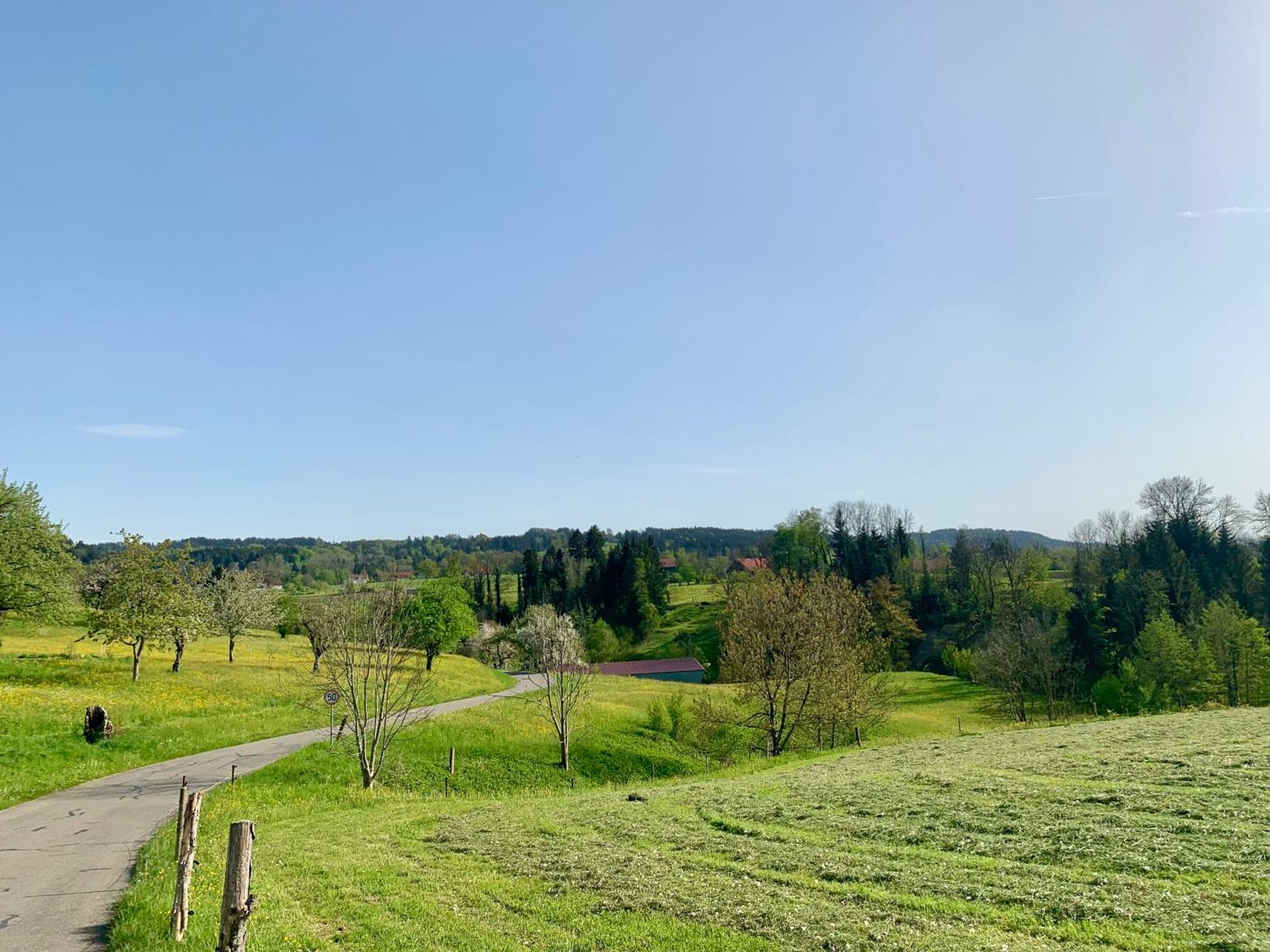 Lindners Hideaways - Bergnest Lodge - Bergblick Fewo 6 Pers Balkon Garten Hund Ski Unterkunft Luftkurort Oberreute Naehe Buchenegger Wasserfaelle Eistobel Bodensee Exterior photo