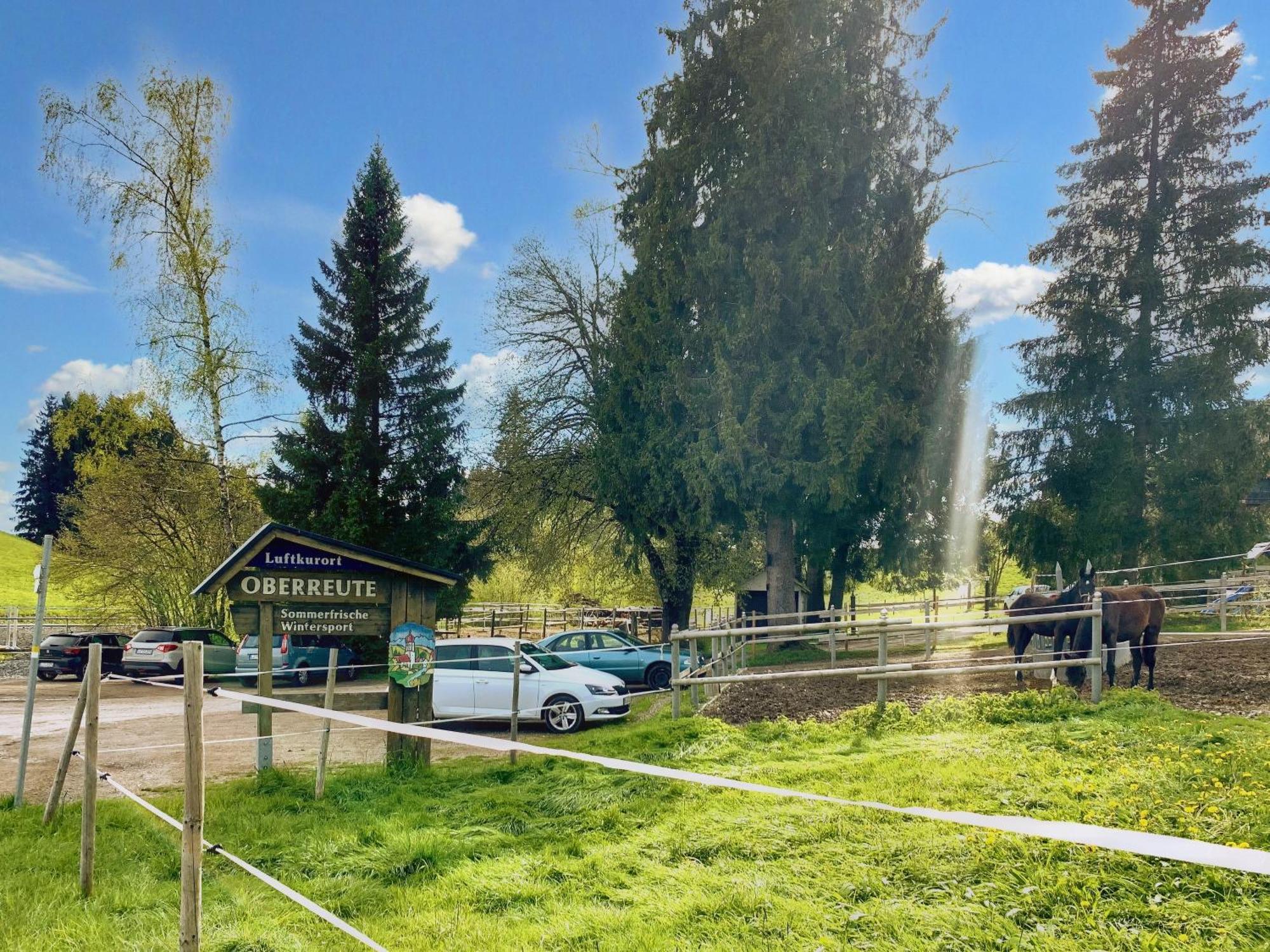Lindners Hideaways - Bergnest Lodge - Bergblick Fewo 6 Pers Balkon Garten Hund Ski Unterkunft Luftkurort Oberreute Naehe Buchenegger Wasserfaelle Eistobel Bodensee Exterior photo
